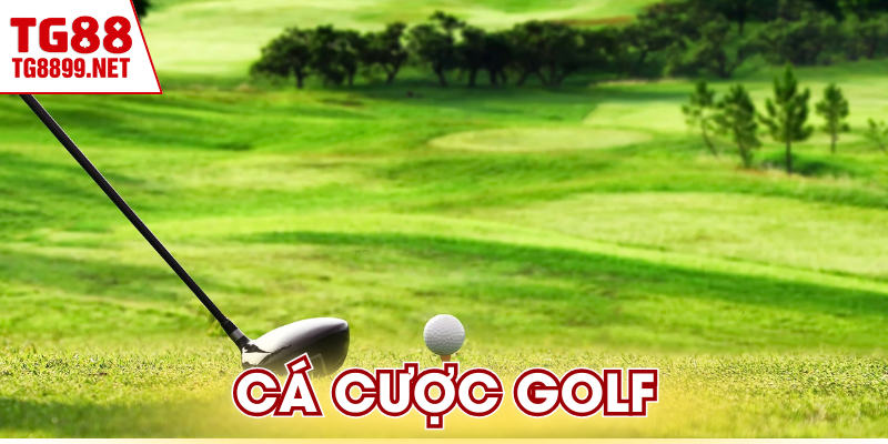Cá Cược Golf | Bí Kíp Thắng Lớn Từ Chuyên Gia TG88