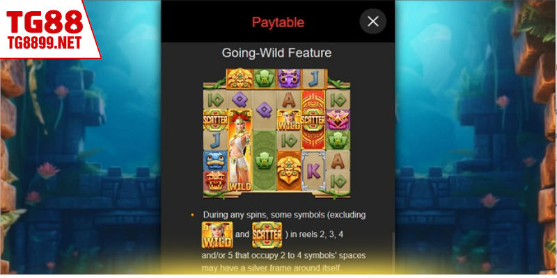 Các chiến thuật theo dõi nhịp và giai đoạn