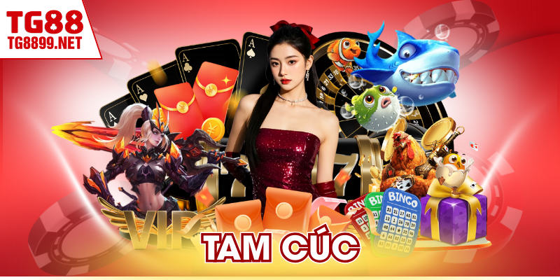 Tam Cúc – Luật Chơi Truyền Thống Dễ Tiếp Cận Với Mọi Người
