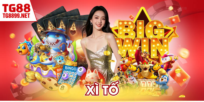 Xì Tố – Luật Chơi Cơ Bản Và Chiến Thuật Dễ Áp Dụng